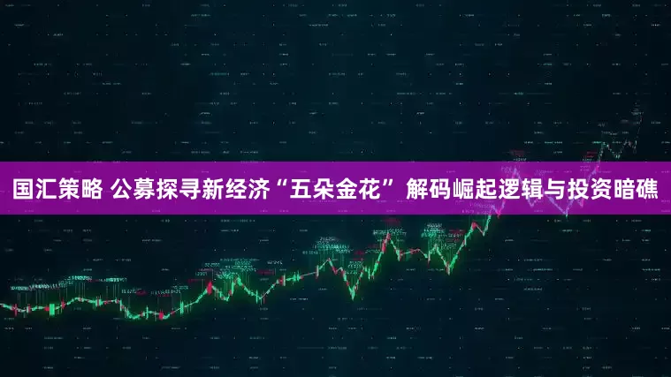 国汇策略 公募探寻新经济“五朵金花” 解码崛起逻辑与投资暗礁