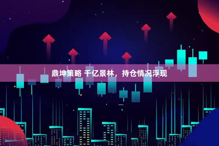 鼎坤策略 千亿景林，持仓情况浮现
