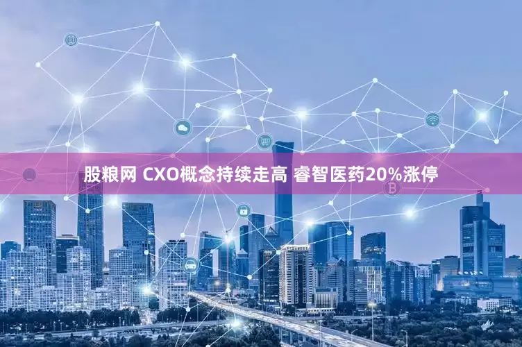 股粮网 CXO概念持续走高 睿智医药20%涨停