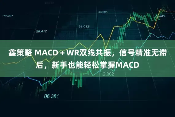鑫策略 MACD＋WR双线共振，信号精准无滞后，新手也能轻松掌握MACD